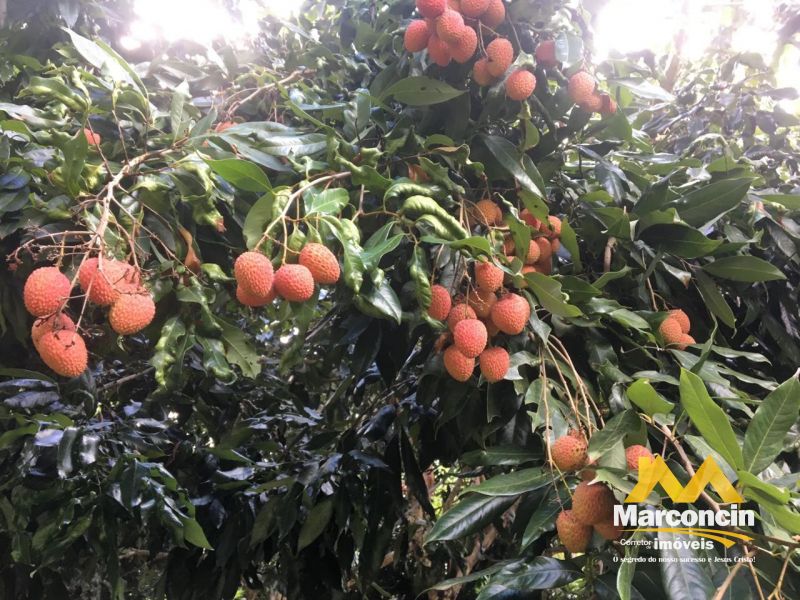 Casa à venda - Comunidade Urbana de Iguape,Guarapari