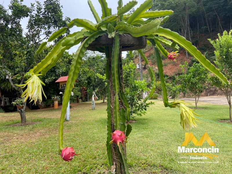  - Casa, 2000m², à venda em Guarapari, Comunidade Urbana de Iguape