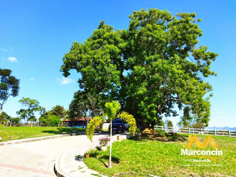  - Lote, 532m², à venda em Anchieta, Jaqueira