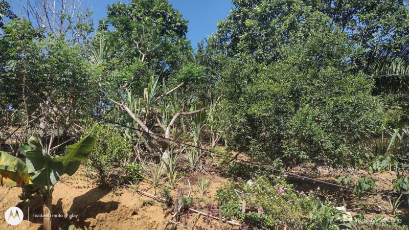 Sítio à venda - Comunidade Urbana de Jaboti,Guarapari