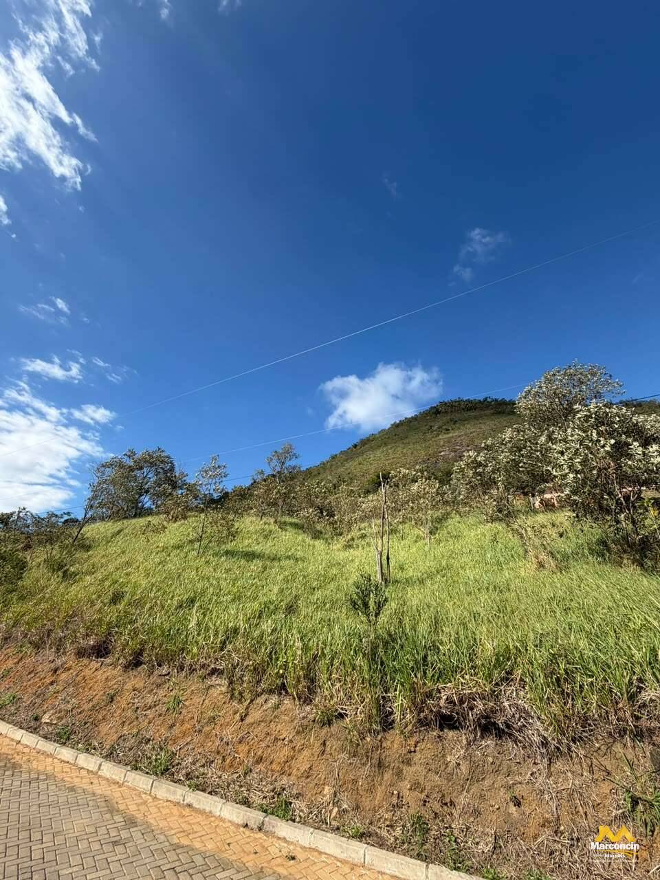 Terreno à venda, 20.000m² - Marconcin Imóveis
