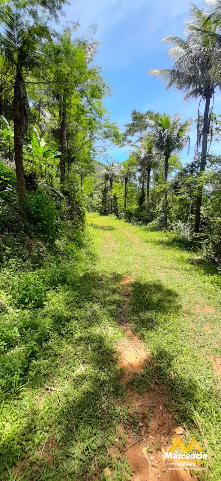 Chácara à venda - Cachoeirinha,