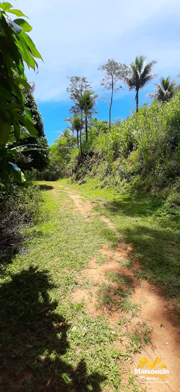 Chácara à venda - Cachoeirinha,